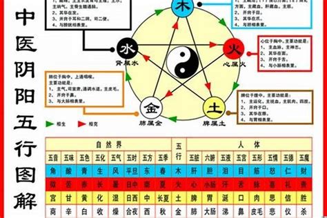 1984 年五行属什么